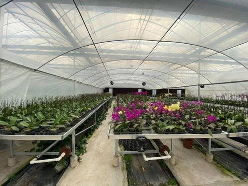 吃瓜群爆料大棚视频,吃瓜群爆料背后的农业真相