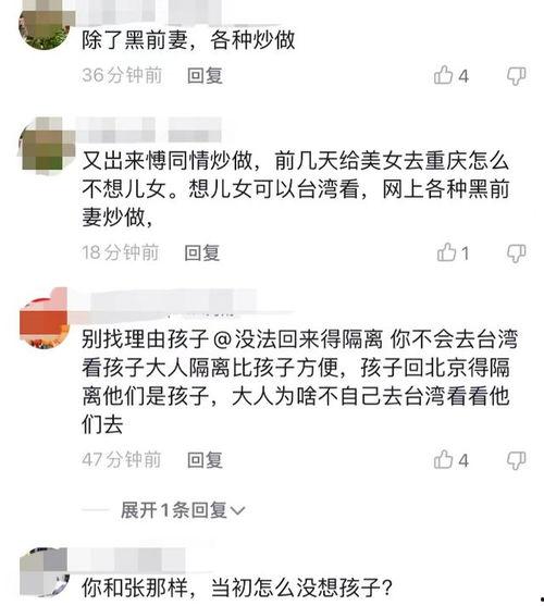 汪小菲绯闻女友视频爆料,揭秘背后真相 第2张 汪小菲绯闻女友视频爆料,揭秘背后真相 第2张
